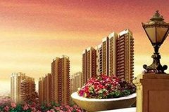 重庆骏伟置业有限公司（重庆徐州商会 张辉）
